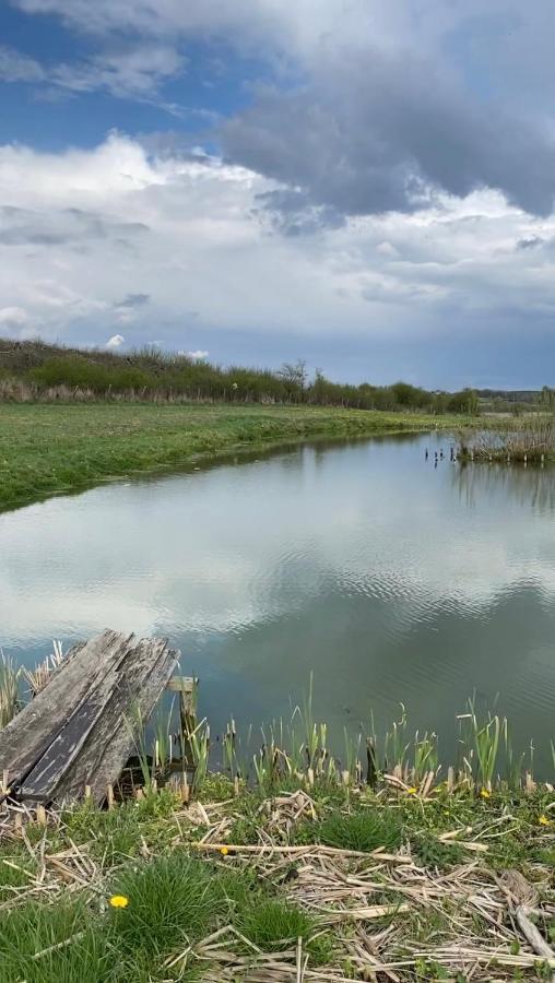 Agroturystyka Nad Jeziorem Silickim Ilinscy Silice Екстериор снимка