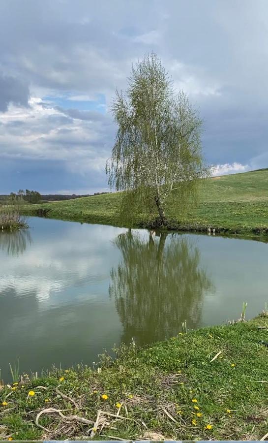Agroturystyka Nad Jeziorem Silickim Ilinscy Silice Екстериор снимка