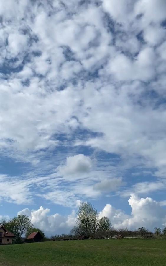 Agroturystyka Nad Jeziorem Silickim Ilinscy Silice Екстериор снимка