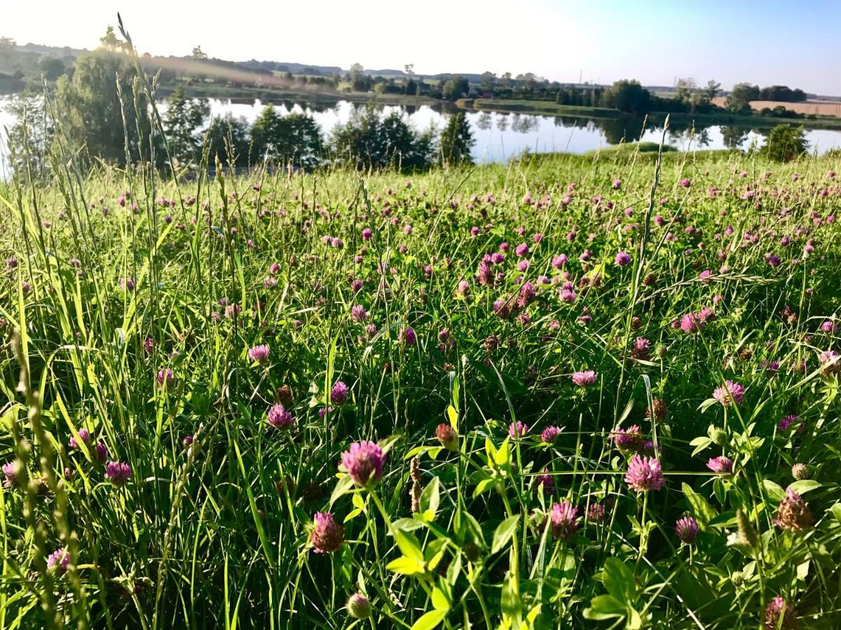 Agroturystyka Nad Jeziorem Silickim Ilinscy Silice Екстериор снимка