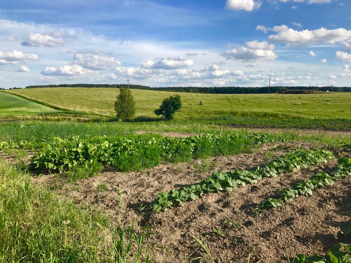 Agroturystyka Nad Jeziorem Silickim Ilinscy Silice Екстериор снимка